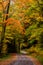 Winding Gravel Back Road - Autumn / Fall Scenery - West Virginia