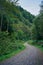 A winding gravel hiking trail in a dense mountain forest in the Bieszczady Mountains in Poland