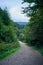 A winding gravel hiking trail in a dense mountain forest in the Bieszczady Mountains in Poland