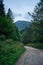 A winding gravel hiking trail in a dense mountain forest in the Bieszczady Mountains in Poland