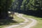 Winding gravel road through lush green trees.