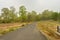 Winding gravel road through temperate forest at Jhargram, west bengal, India