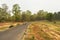 Winding gravel road through temperate forest at Jhargram, west bengal, India