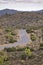Winding highway road amid desert shrubland at Joshua Tree National Park