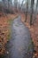 Winding hiking trail in forest