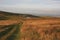 Winding lane across farmland