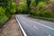 Winding modern asphalt road in summer forest