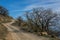 Winding mountain dirt road