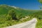 A winding mountain road descends among the trees