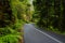 Winding mountain road in rainforest, Australia