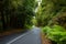 Winding mountain road in rainforest, Australia