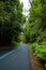 Winding mountain road in rainforest, Australia