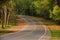 Winding mountain road in the summer in the forest in Khao yai National Park.