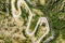 Winding mountain road, view from above.