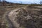 A winding narrow path on the ground with last yearâ€™s dry grass climbing a hill