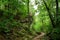 A winding path along a limestone cliff