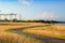 Winding Path around Dry Grass