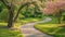A winding path cuts through the vibrant vegetation of a centrally located park, A wavy pathway surrounded by blooming dogwood in a