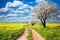 A winding path through the field inviting a leisurely stroll among the spring blooms, spring time,