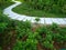 Winding Path in Garden