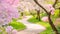 A winding path guides visitors through the vibrant foliage of a lush green park, A wavy pathway surrounded by blooming dogwood in