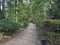 A winding path in the heart of the city park, adorned with inviting benches