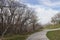 A winding path and leafless gnarly trees