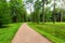 Winding Path through a tranquil verdant park with lawn and tall green trees in summer day for walking and relaxing and