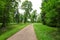 Winding Path through a tranquil verdant park with lawn and tall green trees in summer day for walking and relaxing and