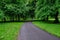 Winding path through the trees in Bute Park, Cardiff, Wales