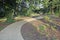 Winding path through woods