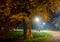 Winding pathway through colorful autumn woodland illuminated at night by street lamps in a tranquil scene