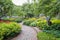 Winding pathway through lush garden