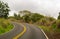 A winding paved road leading deeper into the rainforest on Kauai