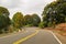 A winding paved road leading deeper into the rainforest on Kauai