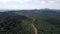 Winding red soil path in oil palm farm