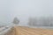 Winding road in the autumn fog, gray countryside in the countryside, dangerous fog weather