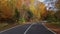 Winding road through autumn forest