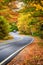 Winding road through beautiful autumn trees