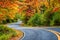 Winding road curves through autumn foliage trees in New England