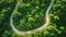 A winding road cuts through a lush green forest, offering a scenic view of the natural surroundings, An aerial shot of a long,