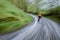 Winding Road Cyclist