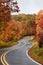 Winding Road in the Fall