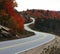 Winding road in fall