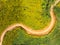 Winding road in flower field aerial view landscape for background.Scenics view of Yellow Flower field in countryside.Romantic