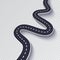 Winding Road Isolated Transparent Special Effect. Road way location infographic template. EPS 10