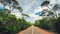 Winding road through Kangaroo Island bushland