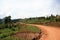 Winding Road Leading Through Uganda