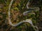 Winding road in mountains, fall woodlands, drone view from above