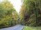 Winding road in mullertal during autumn in luxembourg